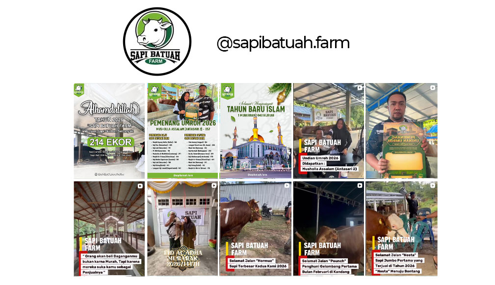 jasa-desain-instagram-feed